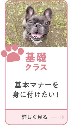 基礎クラス
        基本マナーを身に付けたい！