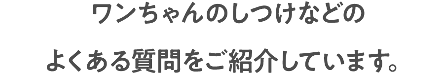 ワンちゃんのしつけなどのよくある質問をご紹介しています。
