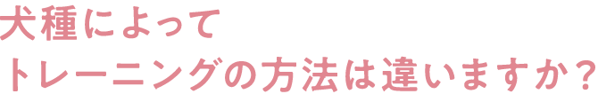 犬種によってトレーニングの方法は違いますか?