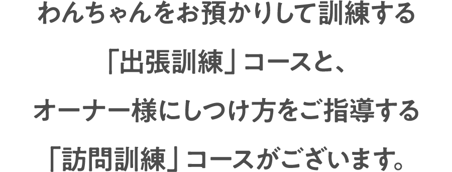 わんちゃんをお預かりして訓練する「出張訓練」コースと、オーナー様にしつけ方をご指導する「訪問訓練」コースがございます。