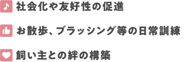 社会化や友好性の促進
お散歩、ブラッシング等の日常訓練
飼い主との絆の構築