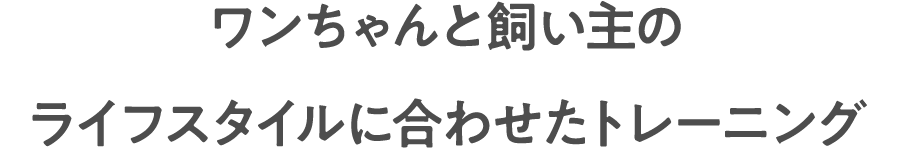 ワンちゃんと飼い主のライフスタイルに合わせたトレーニング